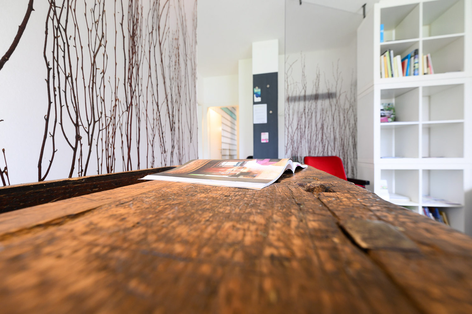 CabinetForme sabine hynpose 15